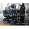 現貨供應優質斗山大宇發電機組，帕金斯發電機組，德國曼發電機組